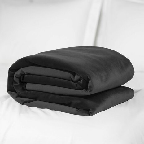 Beschermt bed, sofa en tapijt